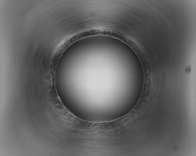 X0000111910776200907271221