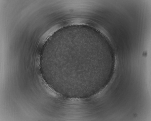 X0000111910777200907271221
