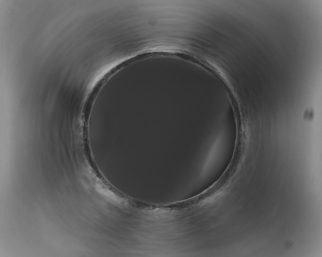 X0000111910779200907271221