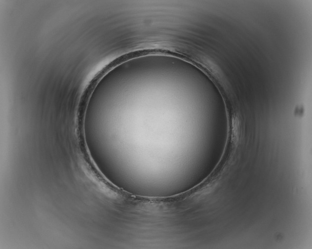 X0000111910780200907271221