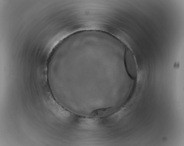 X0000111910781200907271221