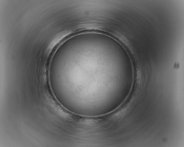 X0000111910782200907271221