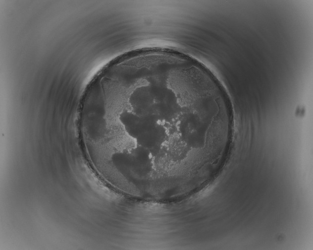 X0000111910783200907271221