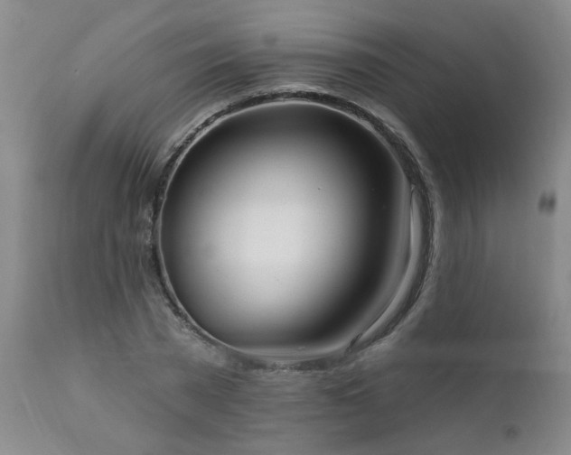 X0000111910785200907271221