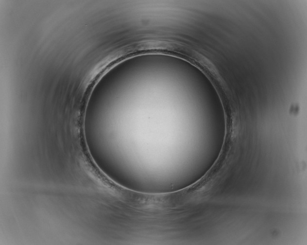 X0000111910786200907271221