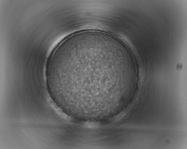 X0000111910788200907271221