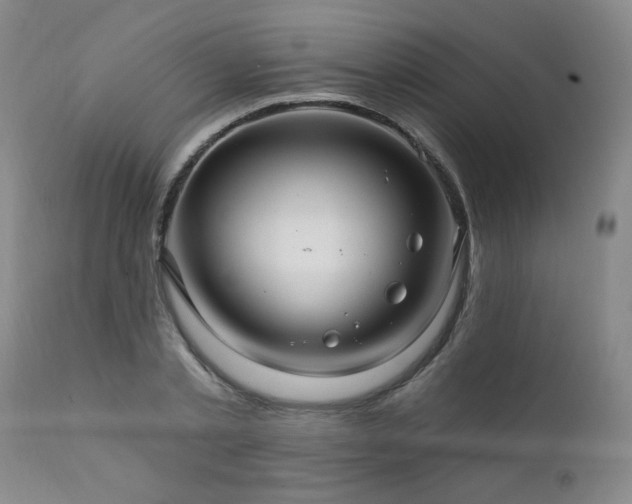 X0000111910789200907271221