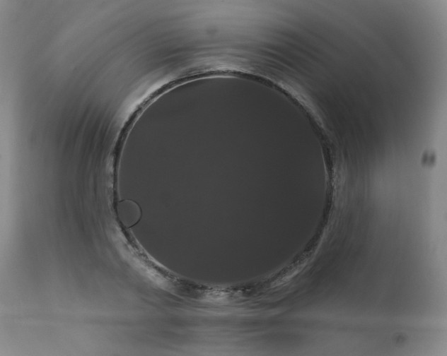 X0000111910790200907271221