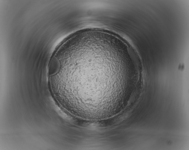 X0000111910791200907271221