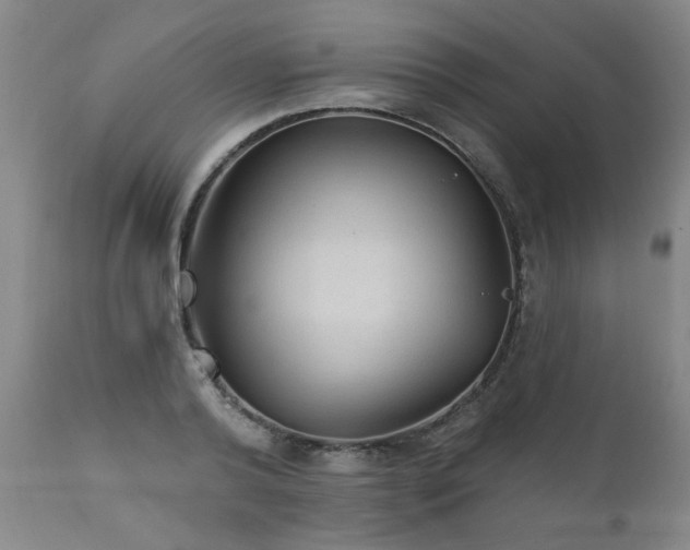 X0000111910792200907271221