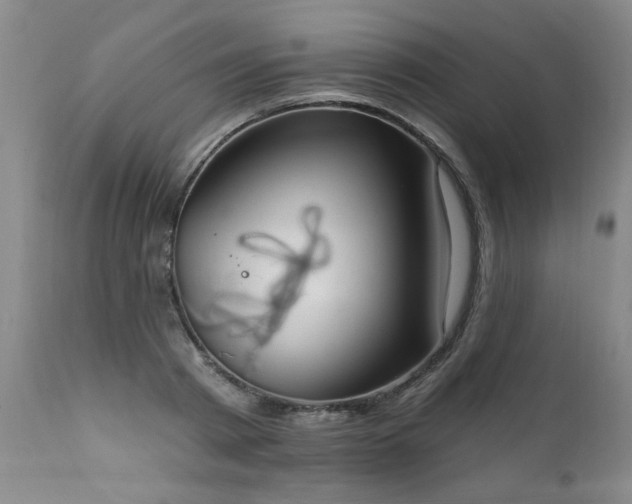 X0000111910793200907271221