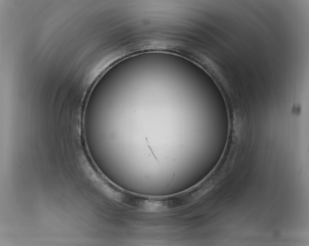 X0000111910794200907271221