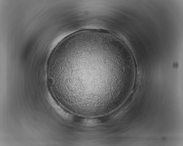 X0000111910795200907271221