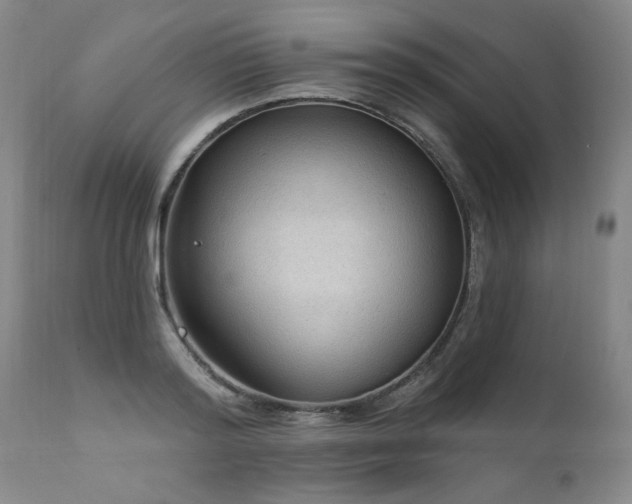X0000111910796200907271221