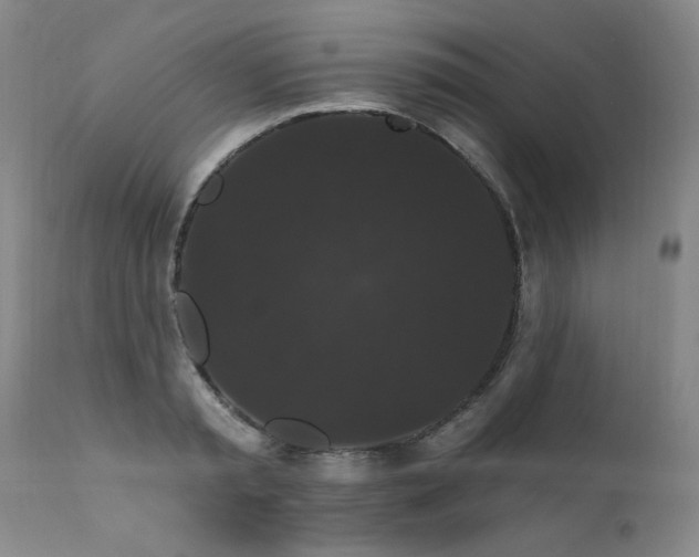 X0000111910797200907271221