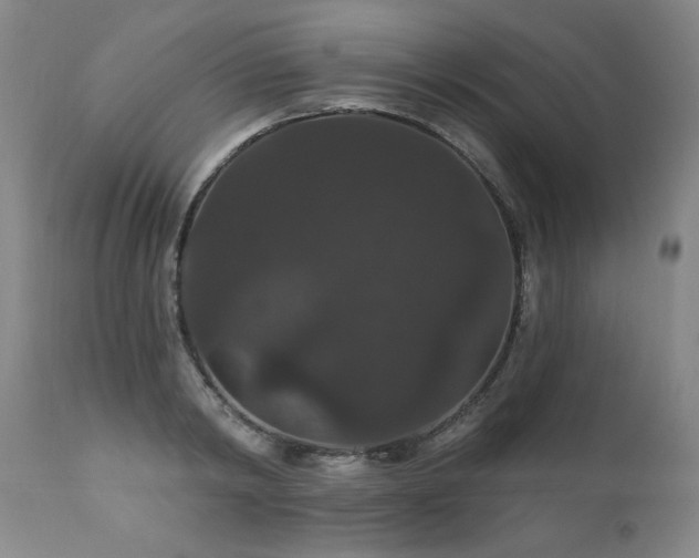 X0000111910798200907271221