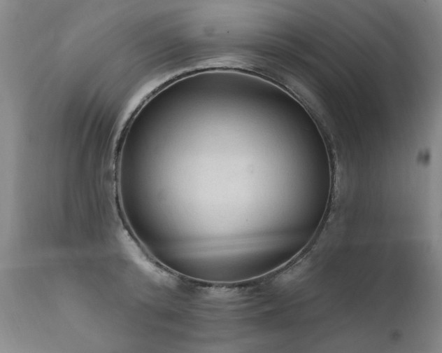 X0000111910800200907271221