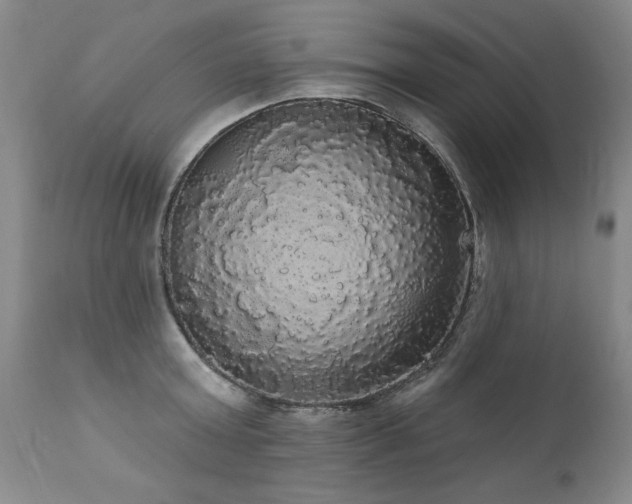 X0000111910803200907271220