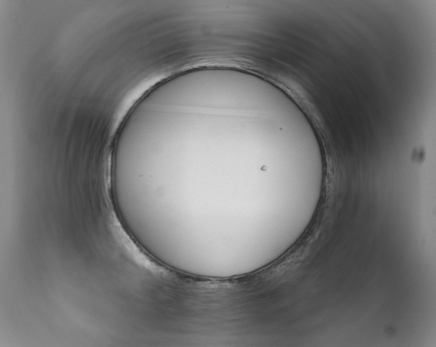 X0000111910804200907271220