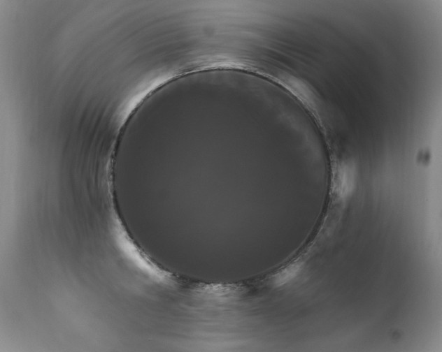 X0000111910806200907271220