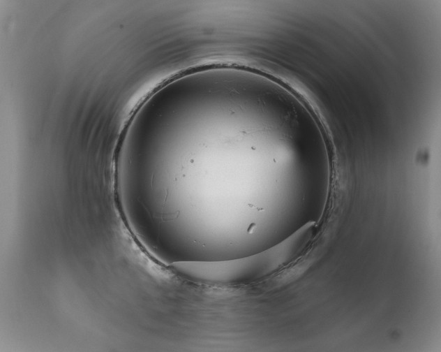 X0000111910807200907271220