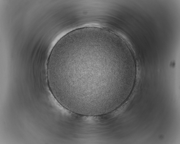 X0000111910808200907271220