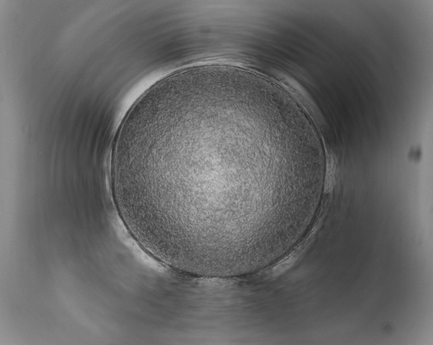 X0000111910812200907271220