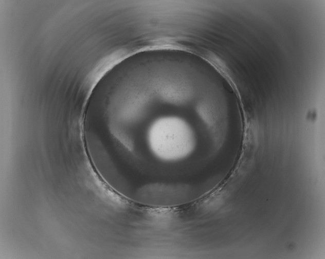 X0000111910813200907271220