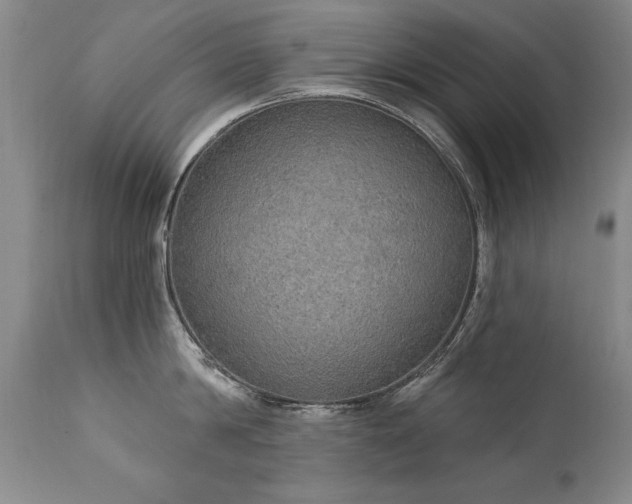 X0000111910814200907271220