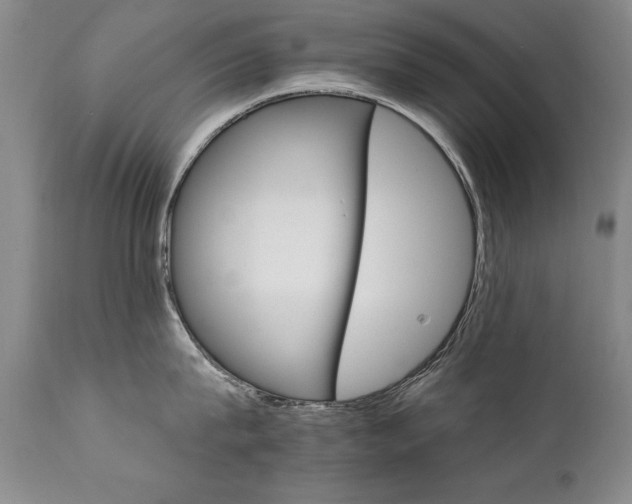 X0000111910815200907271220
