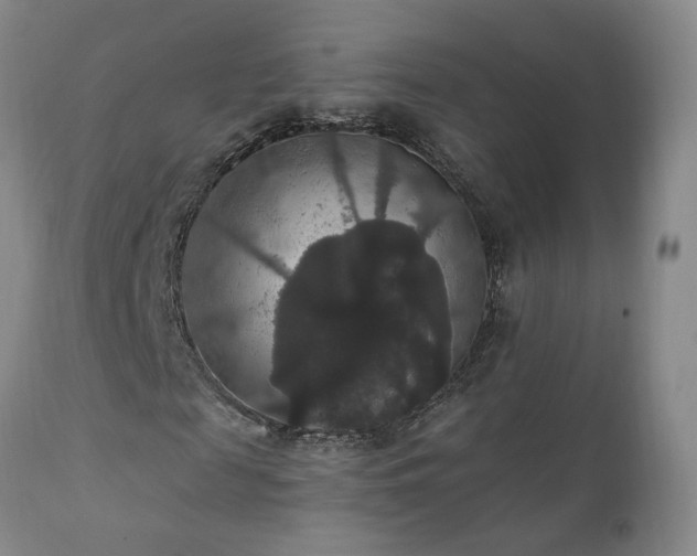 X0000111910817200907271220