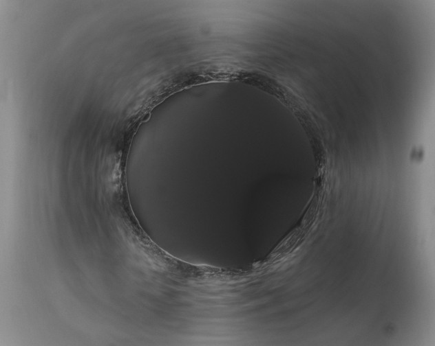 X0000111910818200907271220