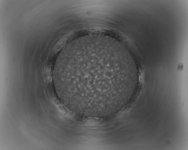 X0000111910819200907271220