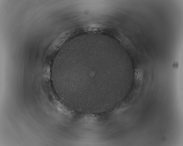 X0000111910820200907271220