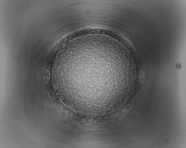 X0000111910821200907271220