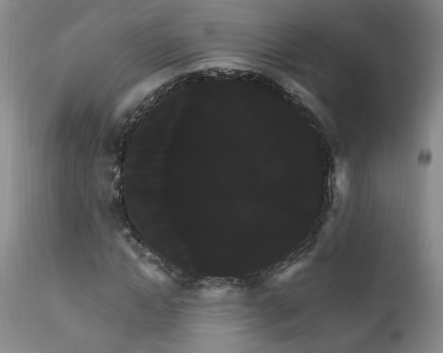 X0000111910822200907271220