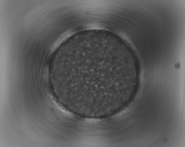 X0000111910825200907271220