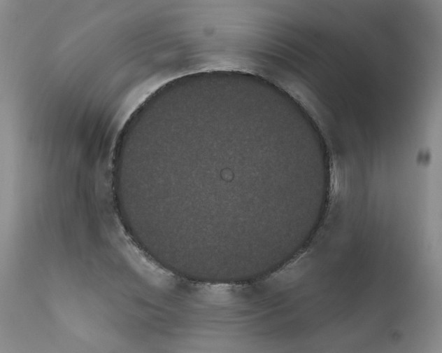 X0000111910828200907271220