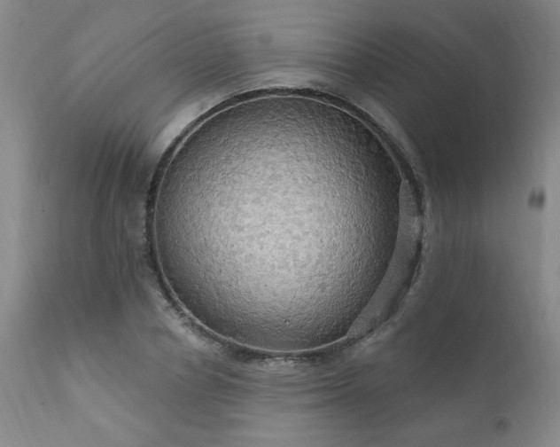 X0000111910834200907271220