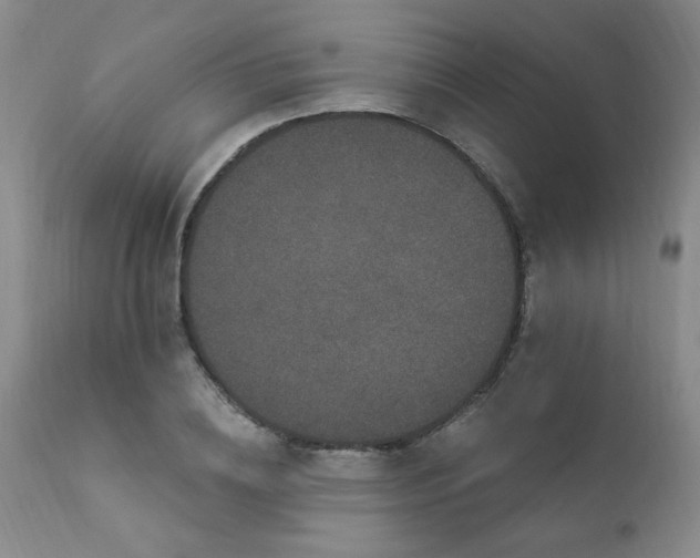 X0000111910836200907271220