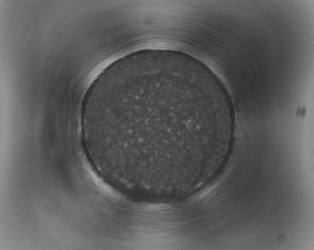 X0000111910837200907271220