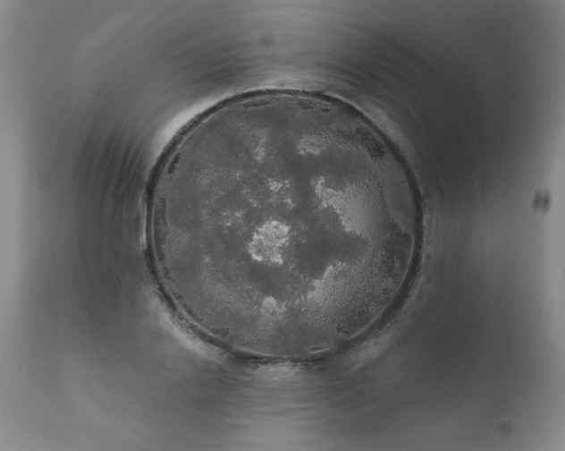 X0000111910838200907271220