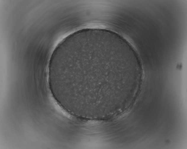 X0000111910840200907271220