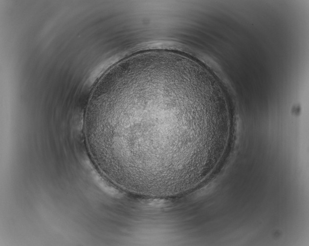 X0000111910841200907271220
