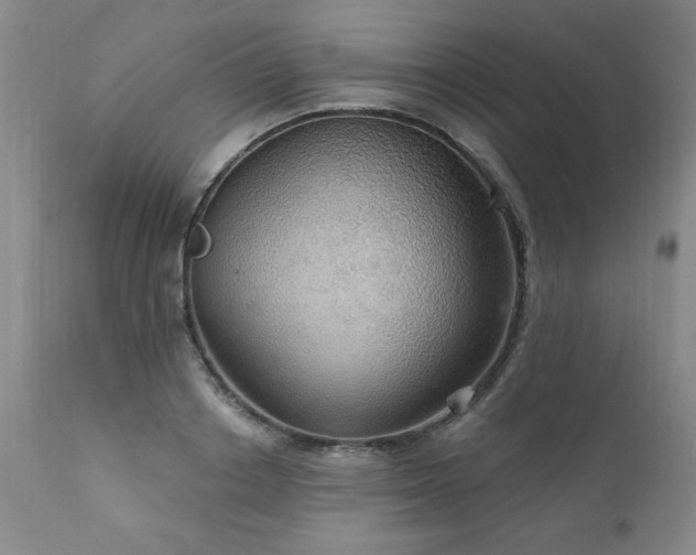 X0000111910842200907271220