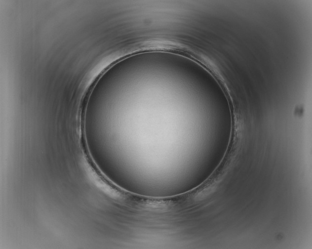 X0000111910843200907271220