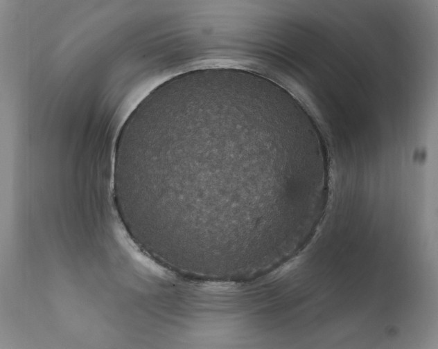 X0000111910844200907271220