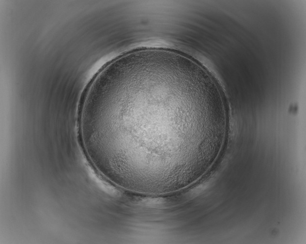 X0000111910845200907271220