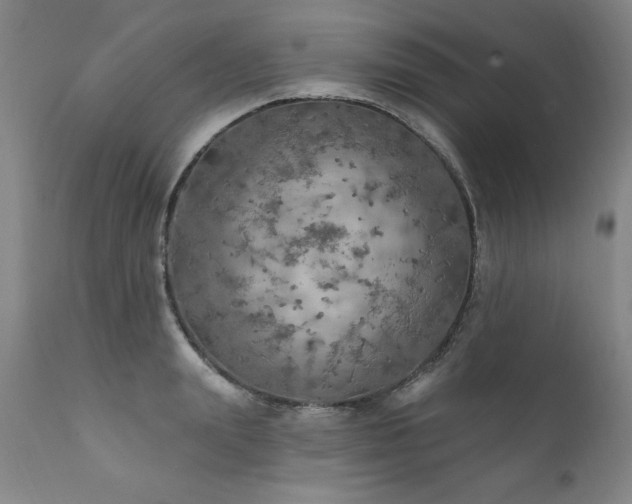 X0000111910847200907271220