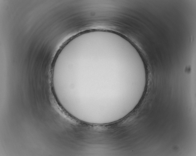 X0000111910848200907271220